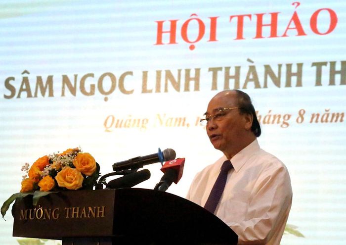 Chủ tịch nước: Sâm Ngọc Linh là “quốc bảo&quot;, gắn với quốc kế dân sinh - Ảnh 1.