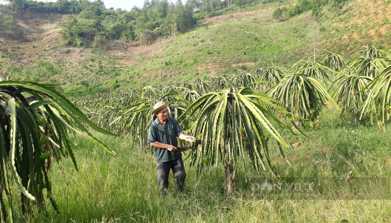 Lào Cai: Hiệu quả phong trào nông dân thi đua sản xuất kinh doanh giỏi ở Bảo Yên - Ảnh 1.