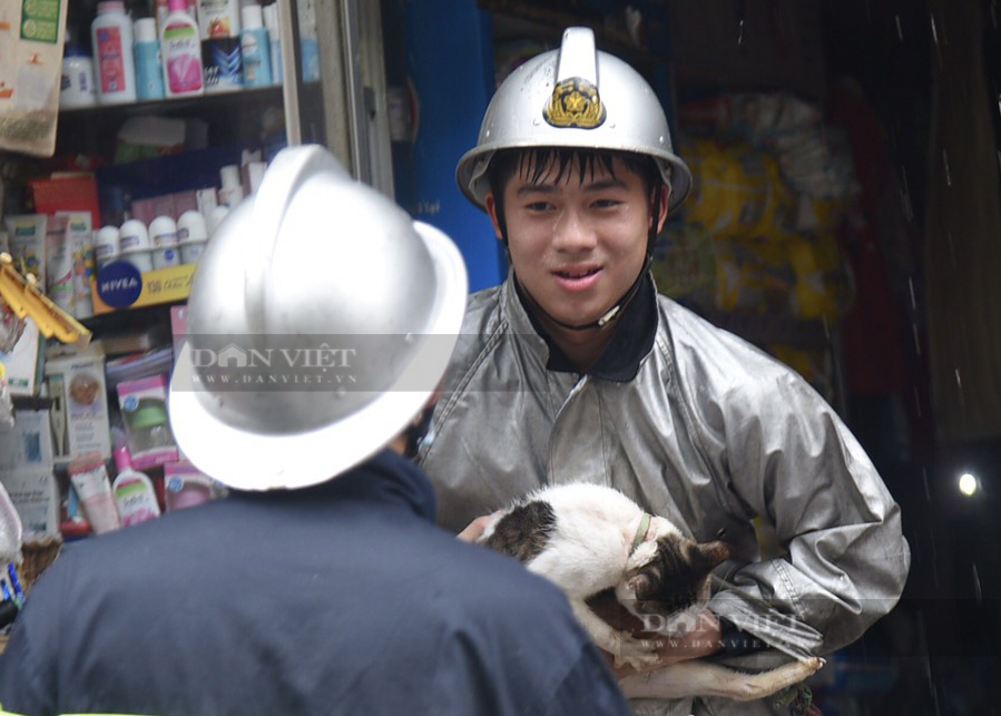 Cháy gần viện Nhi Trung ương, lính cứu hỏa cứu chú mèo thoát khỏi  - Ảnh 5.