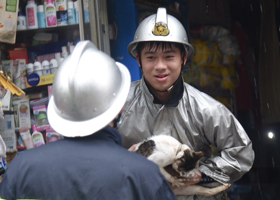 Cháy gần viện Nhi Trung ương, lính cứu hỏa cứu chú mèo thoát khỏi - Ảnh 5.