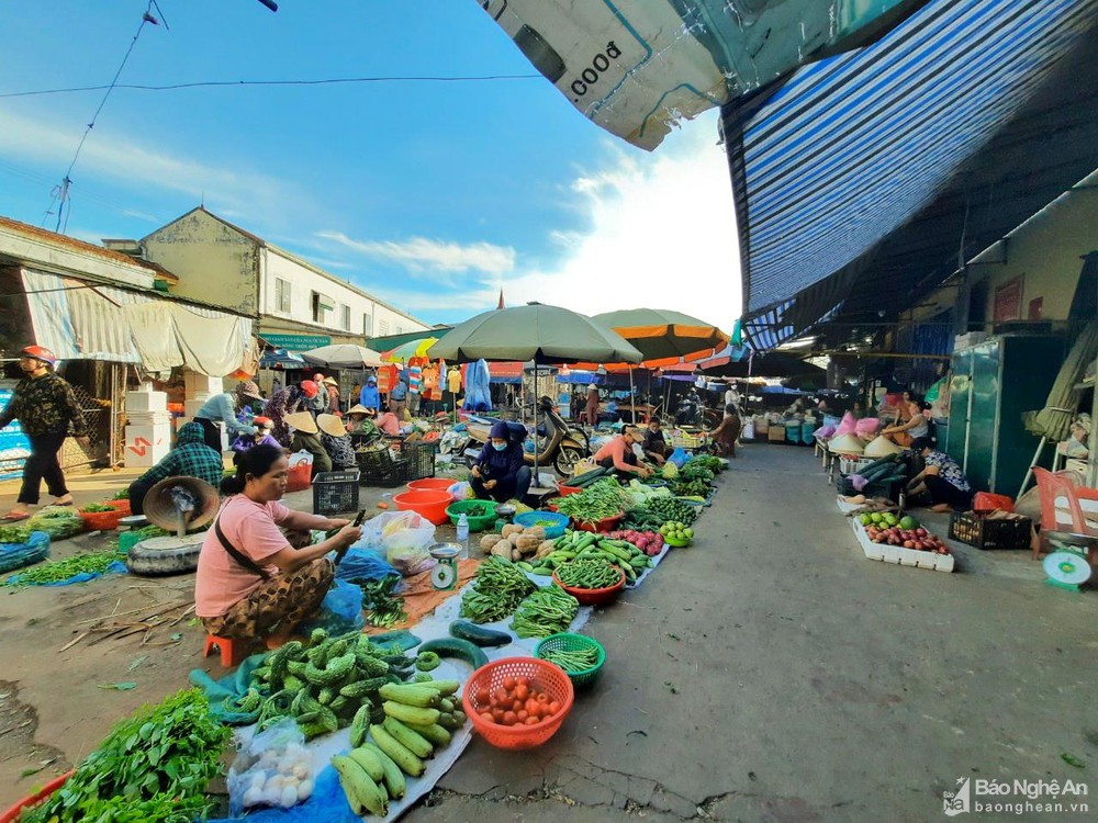 Hạn chế nguồn cung, rau xanh tại Nghệ An đắt hàng hơn tôm cá - Ảnh 1.