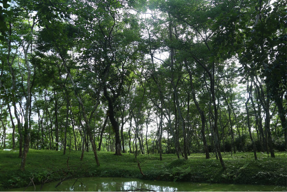 Vùng đất này ở Phú Thọ, dân bảo nhau &quot;chôn kho báu&quot;, nhà nào &quot;chôn&quot; càng nhiều nay bất ngờ càng giàu to - Ảnh 1.