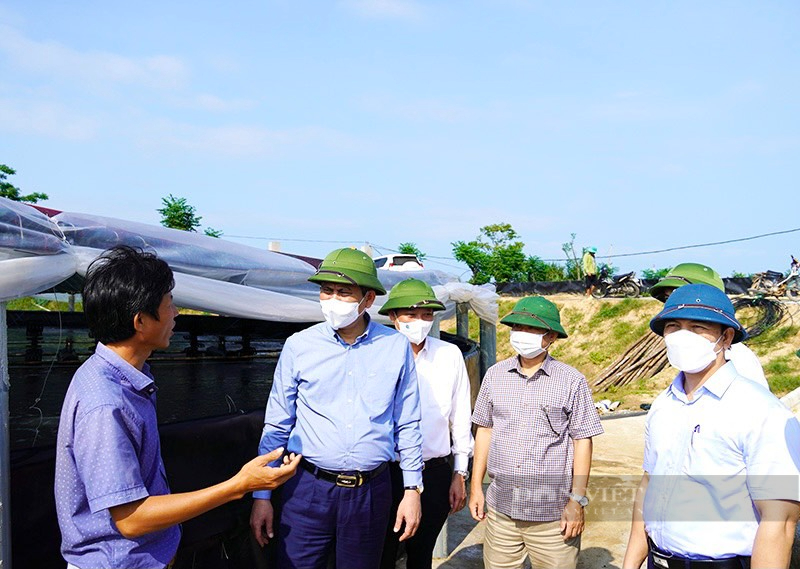 Nông dân sản xuất kinh doanh giỏi huyện Bố Trạch đưa sản phẩm OCOP gắn với phát triển du lịch cộng đồng - Ảnh 4.