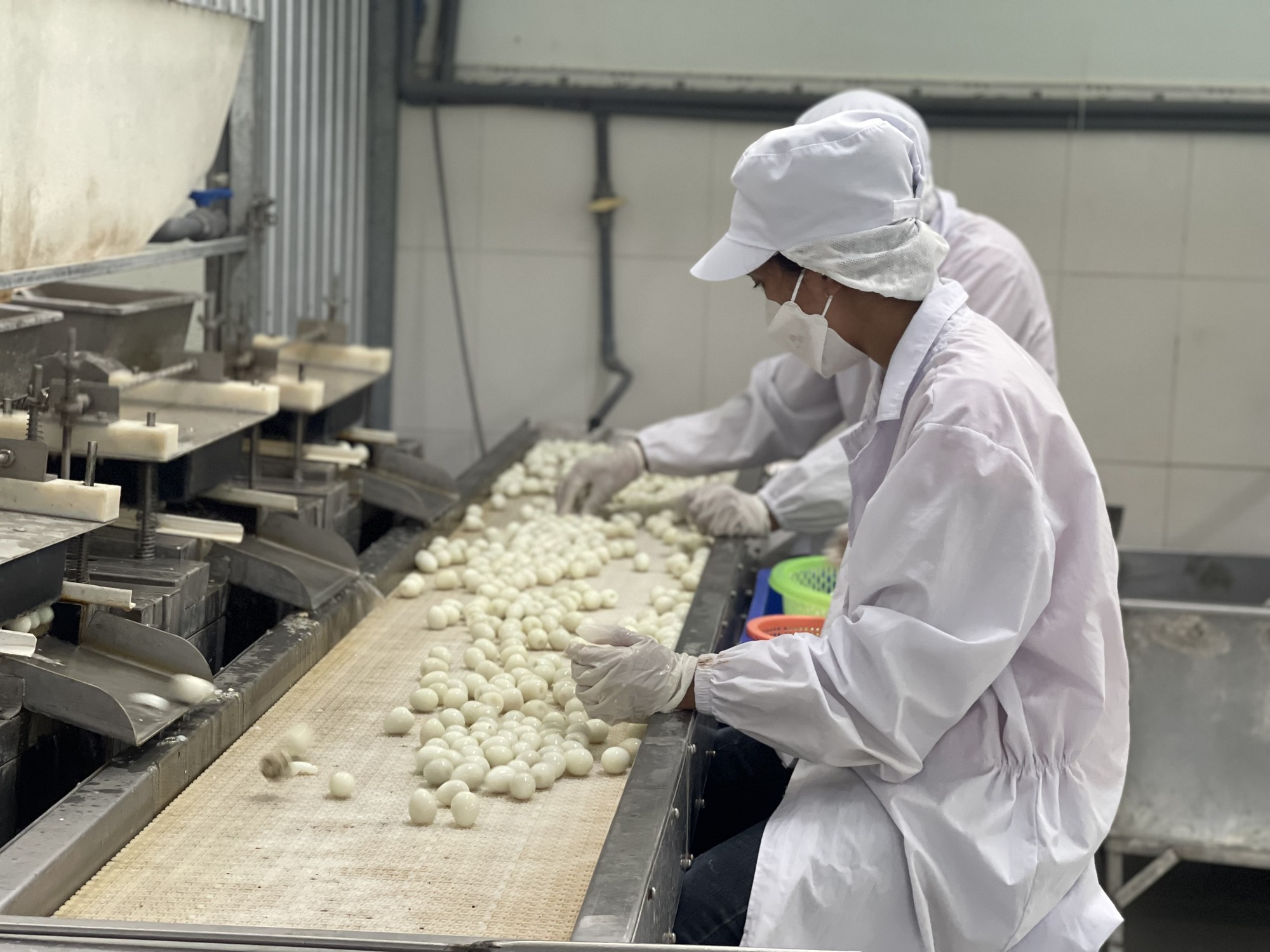 Đồng Nai: Xuất khẩu trứng cút tươi đạt OCOP 4 sao vào thị trường Nhật Bản - Ảnh 8.