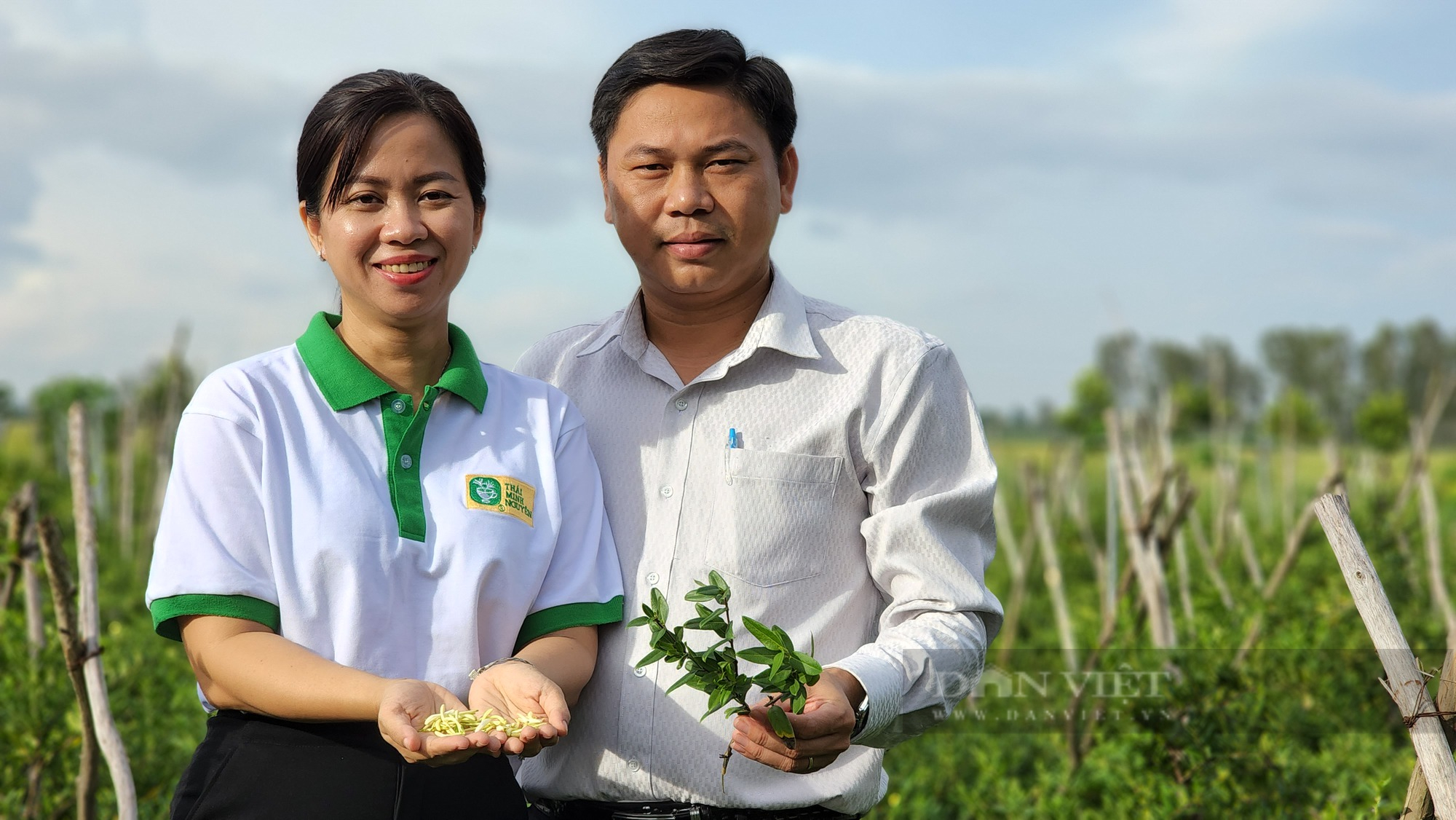 &quot;Đột nhập&quot; vườn trồng cây dược liệu quý của nữ bác sĩ đông y An Giang - Ảnh 7.