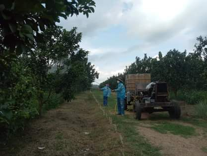 Sáng chế máy mài mỏ gà, xe phun thuốc trừ sâu, những nông dân này ở Bình Định khiến cả làng nể phục - Ảnh 1.