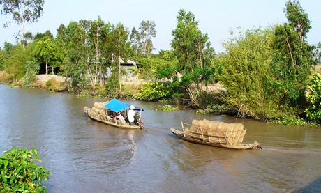 Sắc phù sa miền hạ - Ảnh 2.