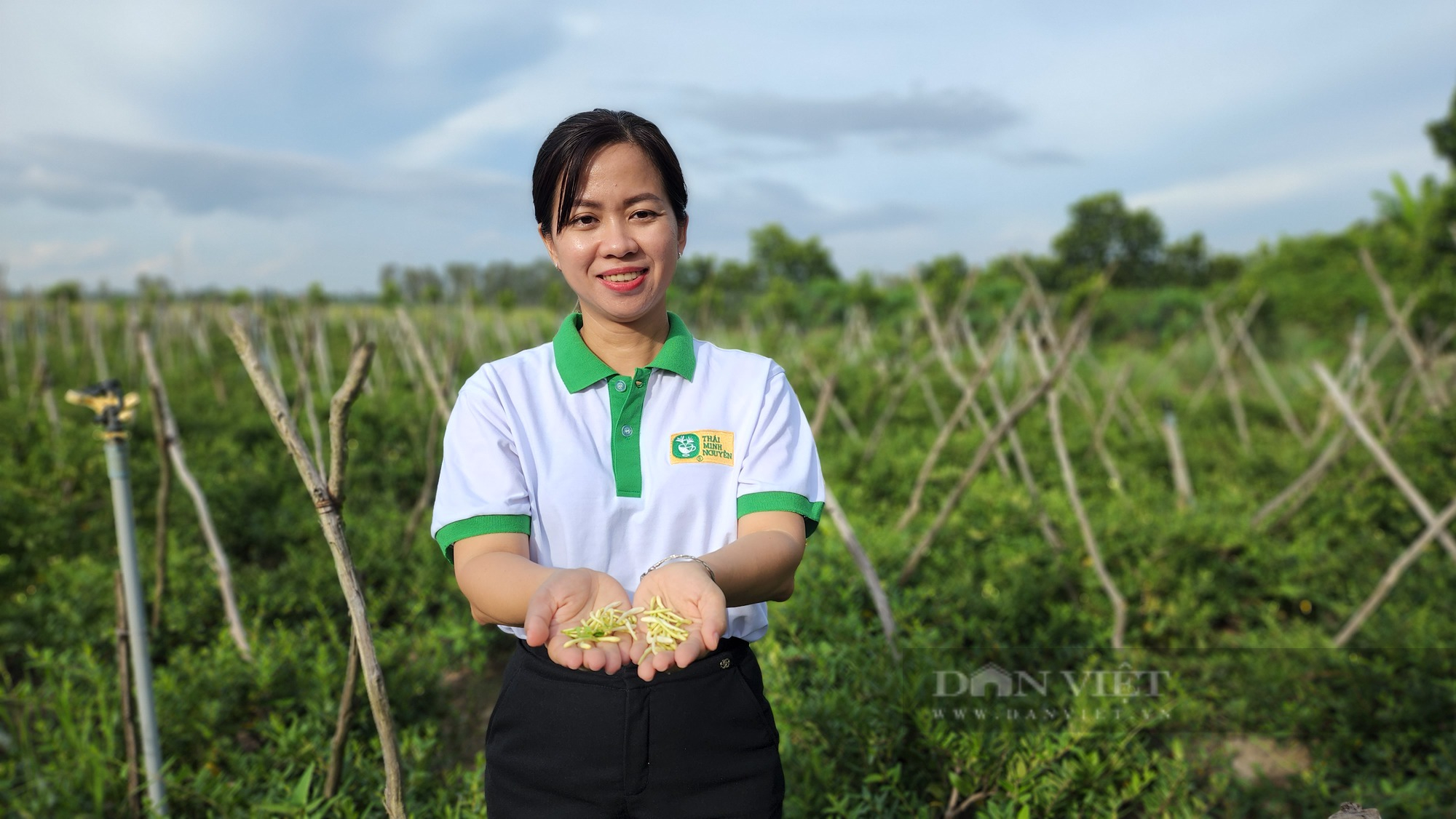 &quot;Đột nhập&quot; vườn trồng cây dược liệu quý của nữ bác sĩ đông y An Giang - Ảnh 1.