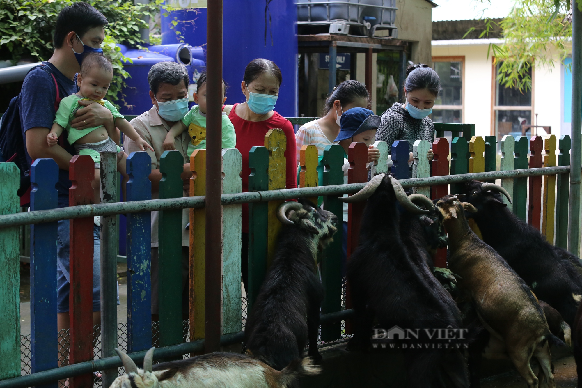 Đến hẹn lại lên, hàng ngàn người &quot;tập kết&quot; tại Thảo Cầm Viên ngày đầu nghỉ lễ - Ảnh 8.