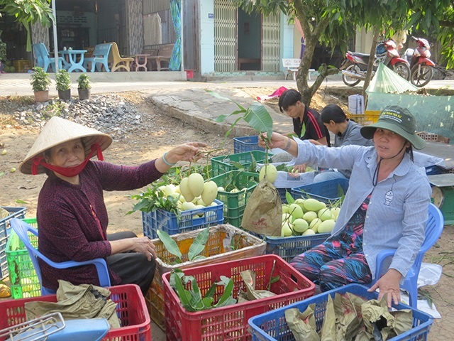 Những người nông dân chuyên nghiệp: Giám đốc HTX ở Đồng Tháp chia sẻ bí quyết xuất khẩu xoài sang Châu Âu - Ảnh 1.