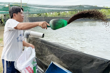 Cập nhật hơn 79 về mô hình nuôi cá chốt mới nhất  Tin học Đông Hòa