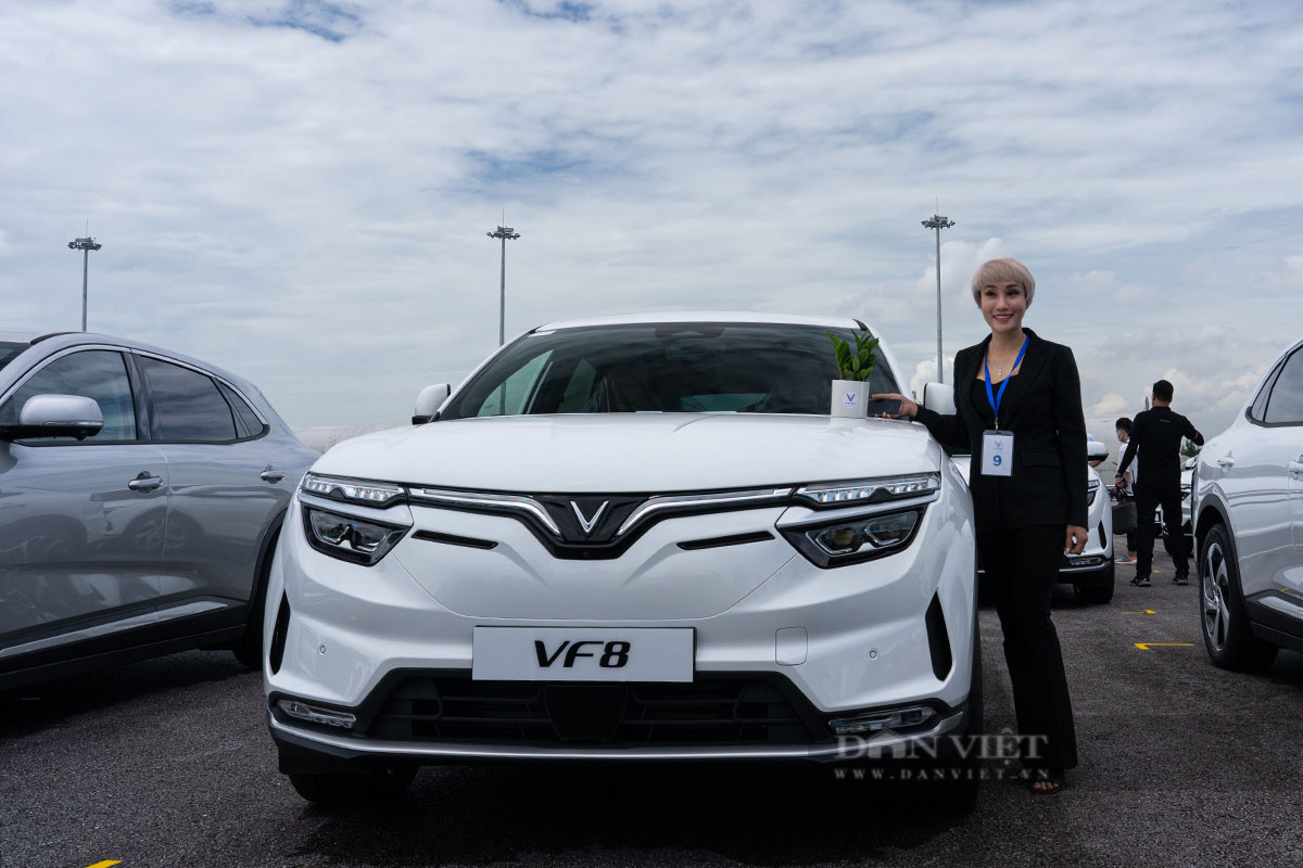 Cận cảnh 5 mẫu xe điện vừa được VinFast giới thiệu tại triển lãm CES 2022 ở  Mỹ  Báo Người lao động