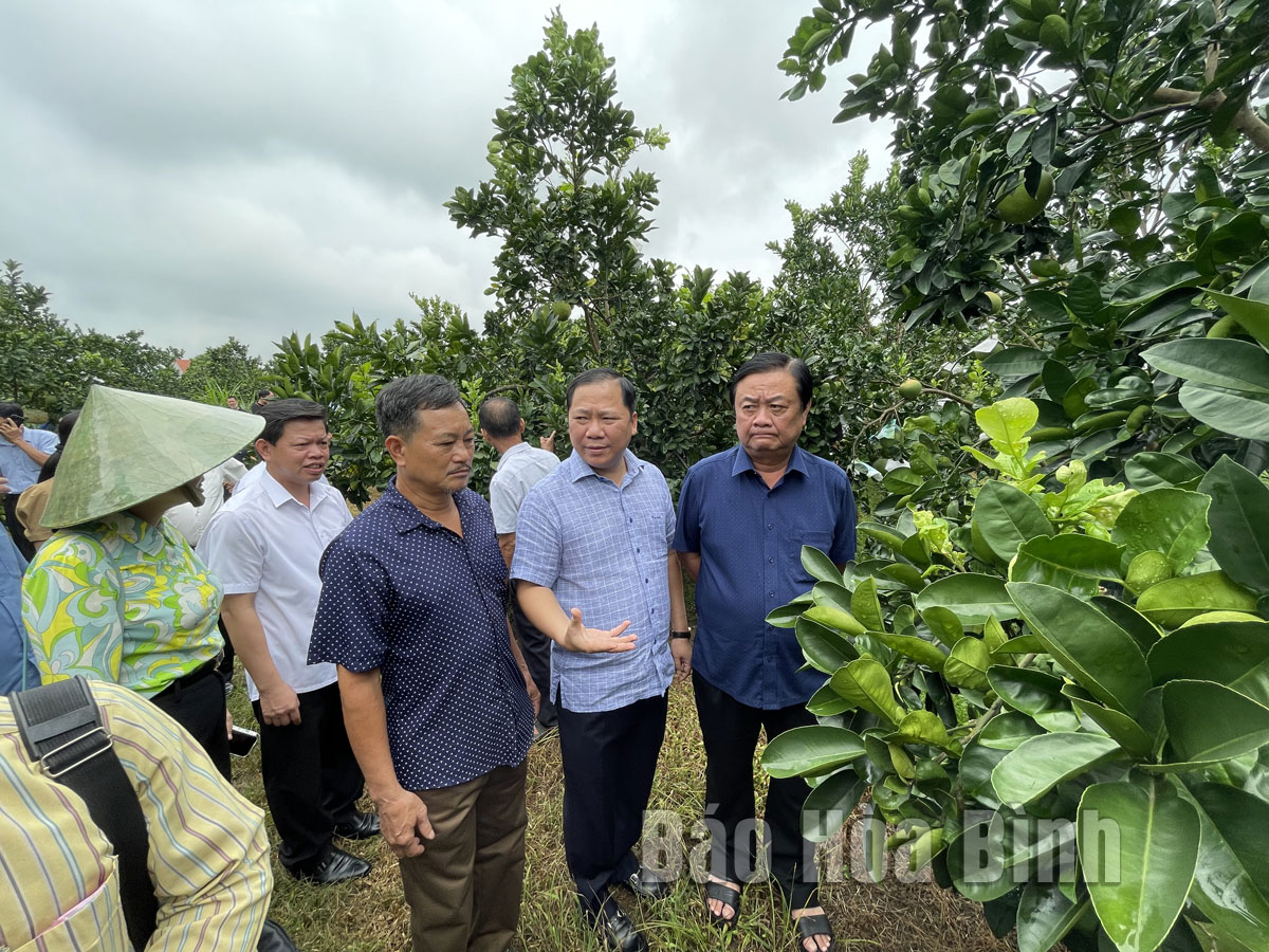 Bộ trưởng Lê Minh Hoan: Đề nghị tỉnh Hoà Bình chọn 1 xã để hỗ trợ làm nông thôn mới kiểu mẫu - Ảnh 1.