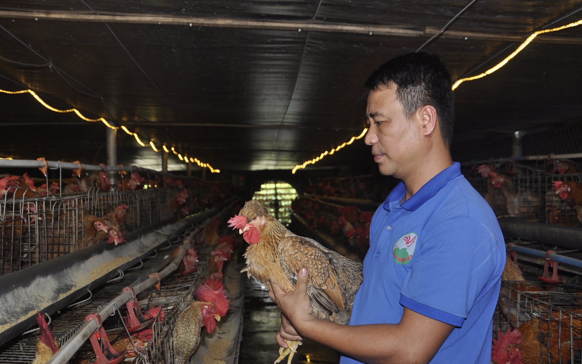 Nhân giống thành công loài gà quý, anh nông dân Quảng Ninh được bình chọn là Nông dân Việt Nam xuất sắc 2022