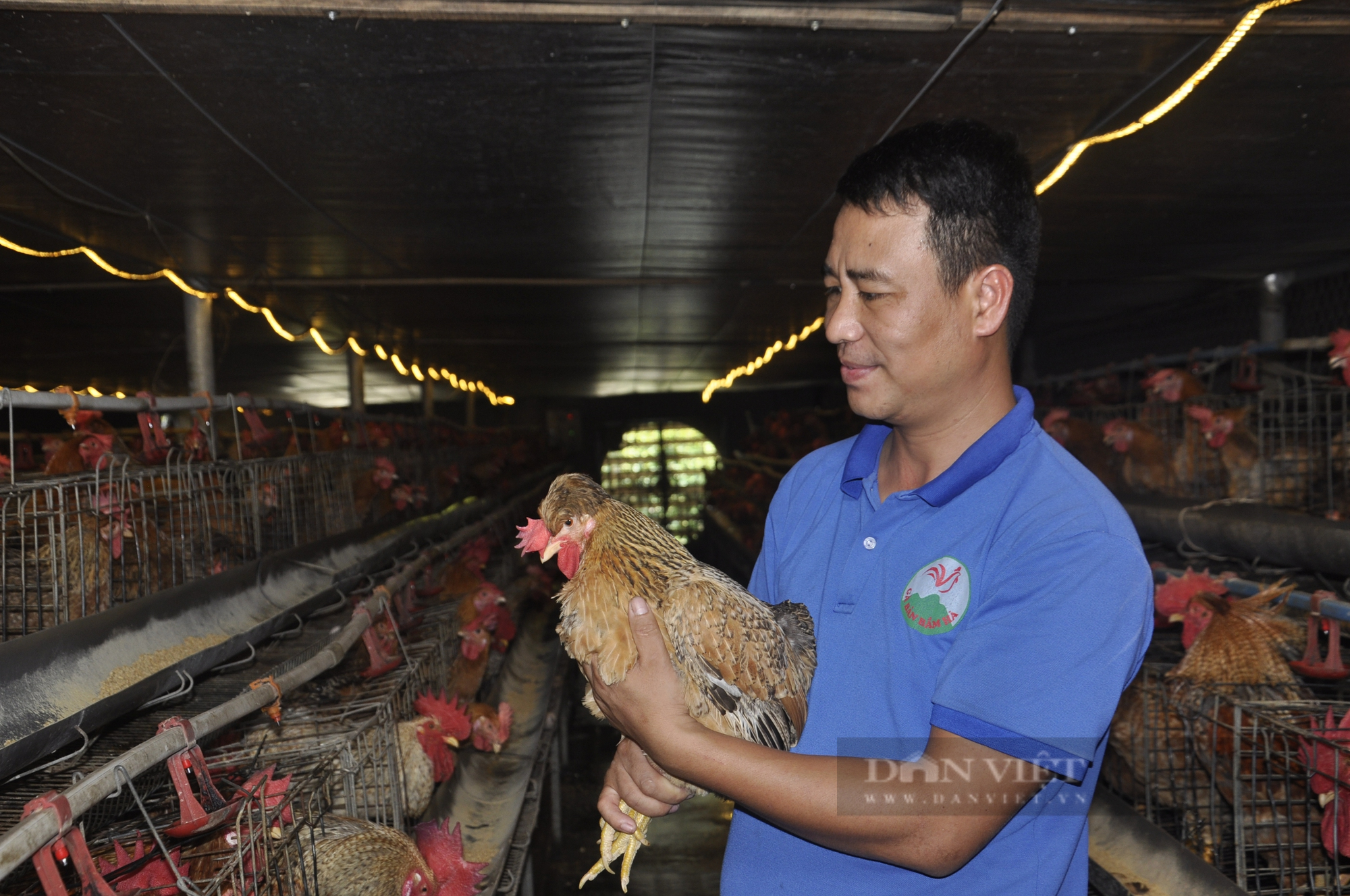Nông dân Việt Nam xuất sắc 2022 là người phục tráng giống gà bản địa quý của Quảng Ninh - Ảnh 1.