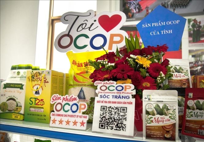 Liên kết tiêu thụ sản phẩm OCOP cho hợp tác xã - Ảnh 2.