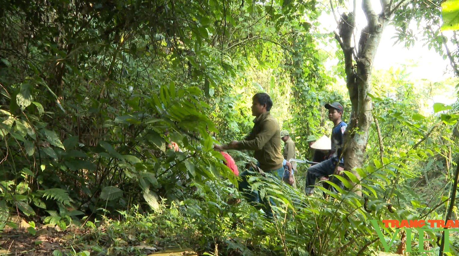 Nông dân vùng biên giới Lai Châu tích cực bảo vệ rừng - Ảnh 2.