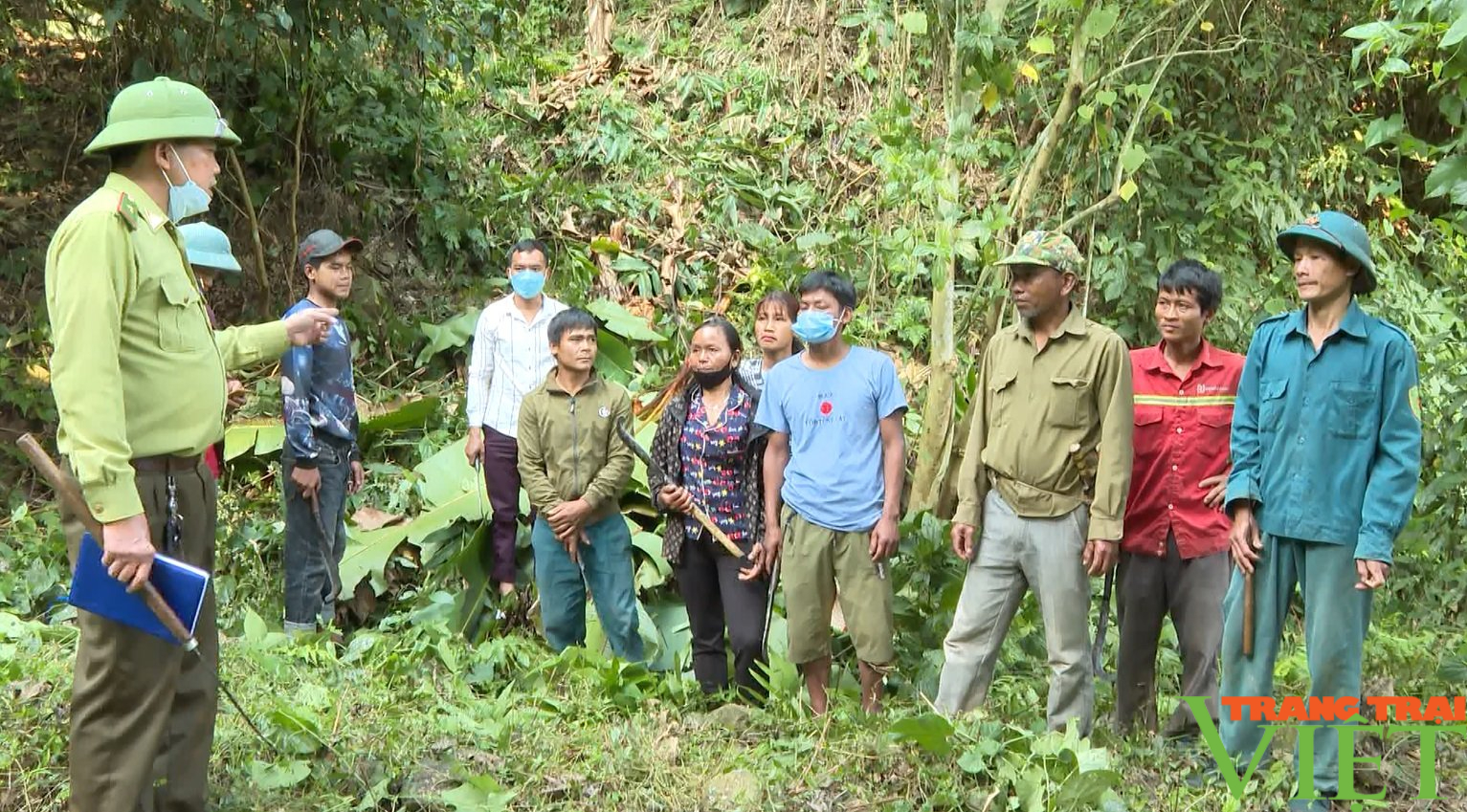Nông dân vùng biên giới Lai Châu tích cực bảo vệ rừng - Ảnh 3.