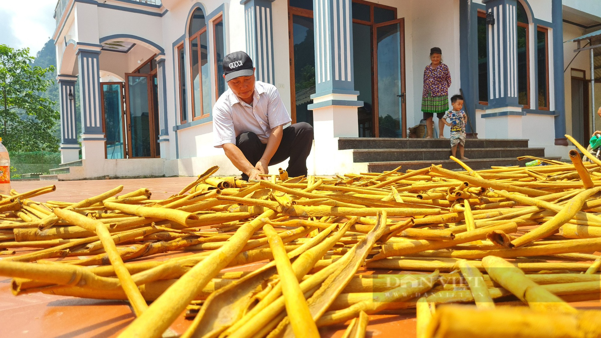 Nông dân Việt Nam xuất sắc ở Yên Bái là tỷ phú người Mông đã từng bị cho là “thằng không ra gì” - Ảnh 7.