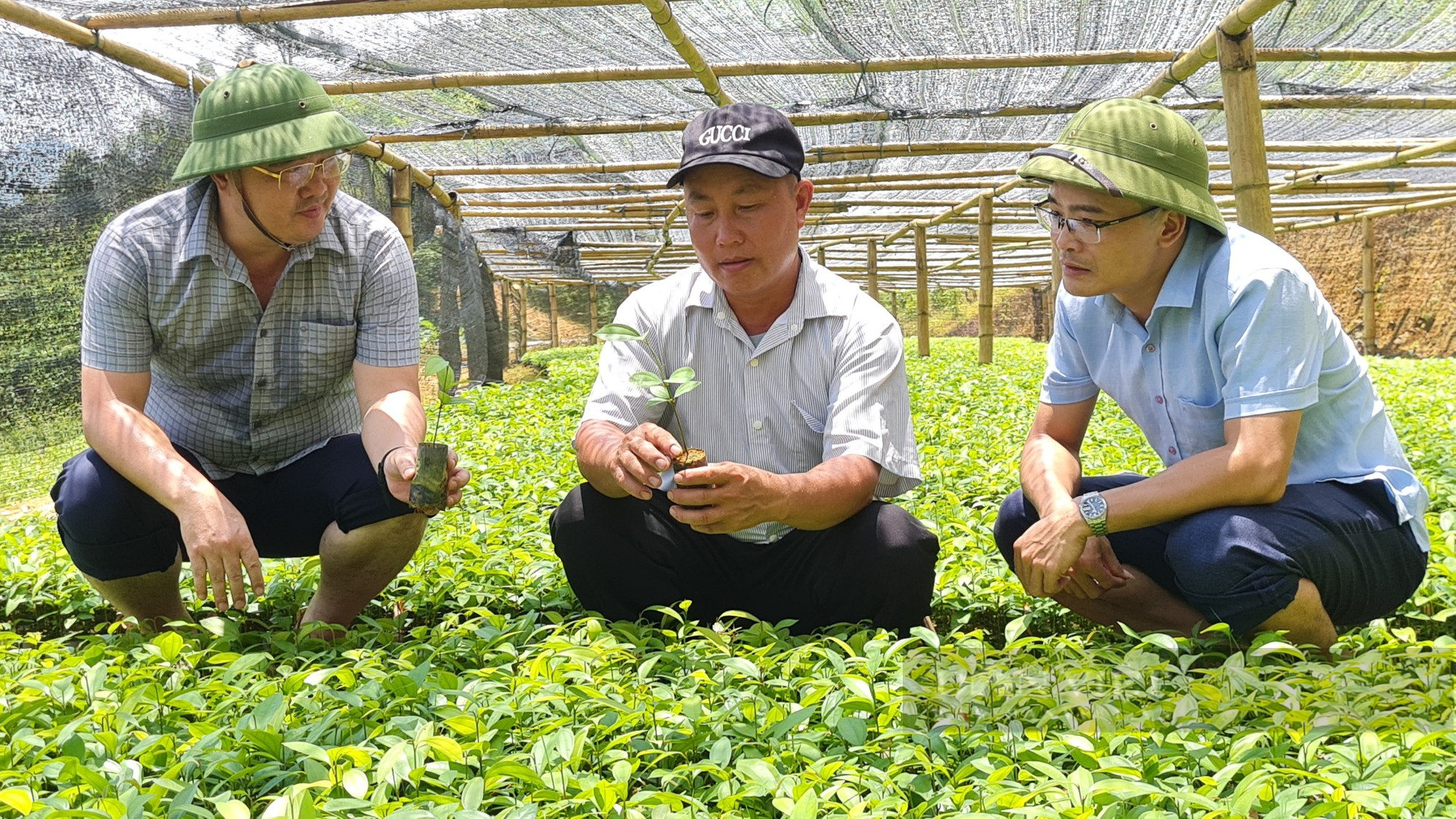 Nông dân Việt Nam xuất sắc ở Yên Bái là tỷ phú người Mông đã từng bị cho là “thằng không ra gì” - Ảnh 4.