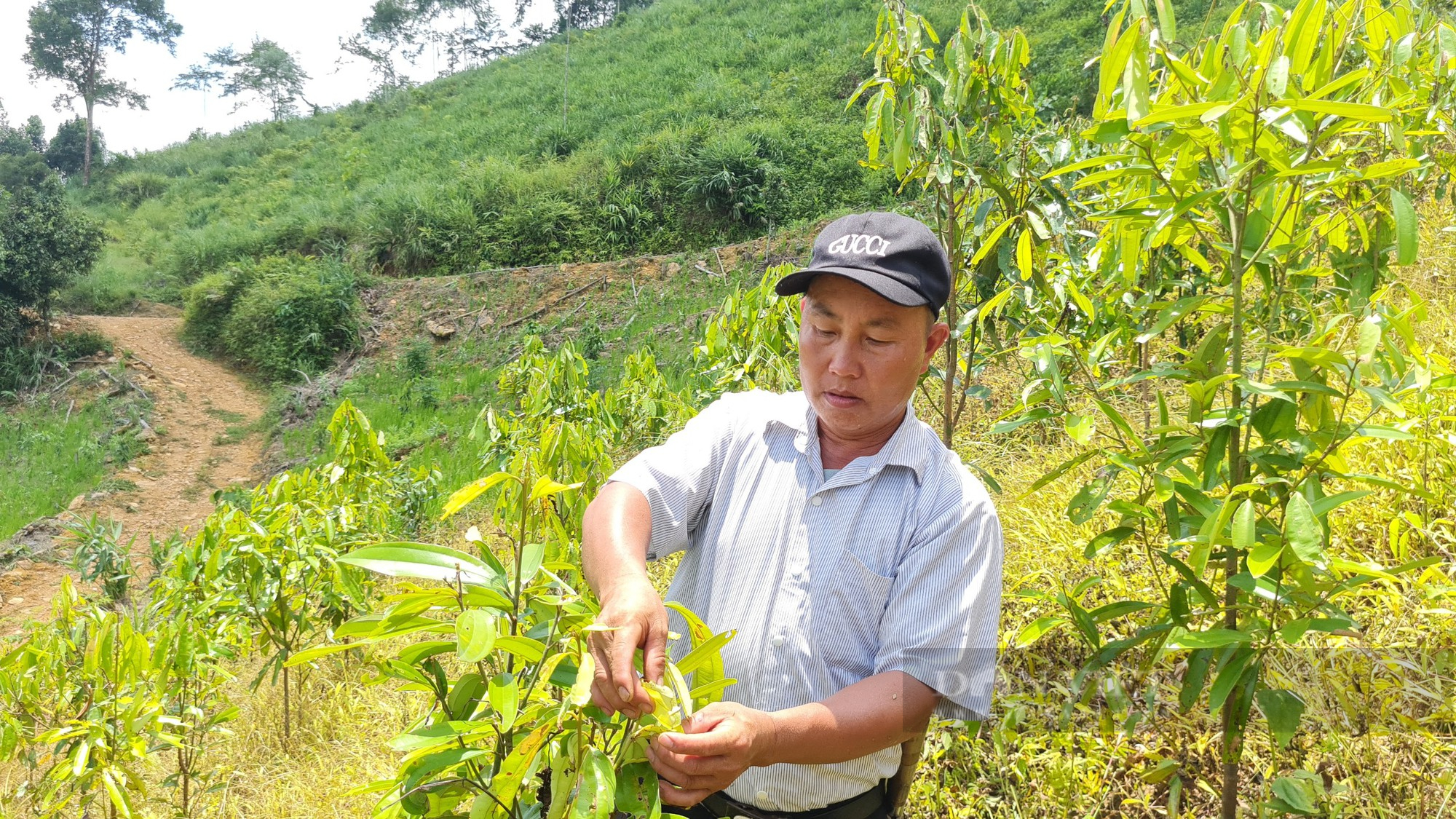 Nông dân Việt Nam xuất sắc ở Yên Bái là tỷ phú người Mông đã từng bị cho là “thằng không ra gì” - Ảnh 3.