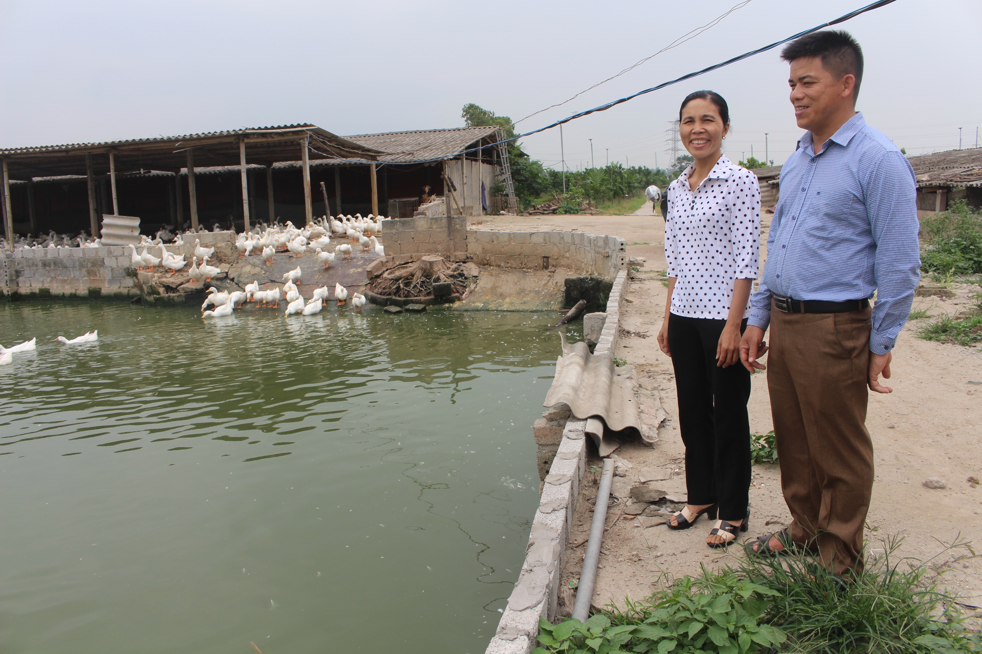 Phó Trưởng Ban Kinh tế Trung ương Nguyễn Duy Hưng ấn tượng với mô hình chi hội nuôi vịt thu nhập 100 tỷ/năm - Ảnh 4.