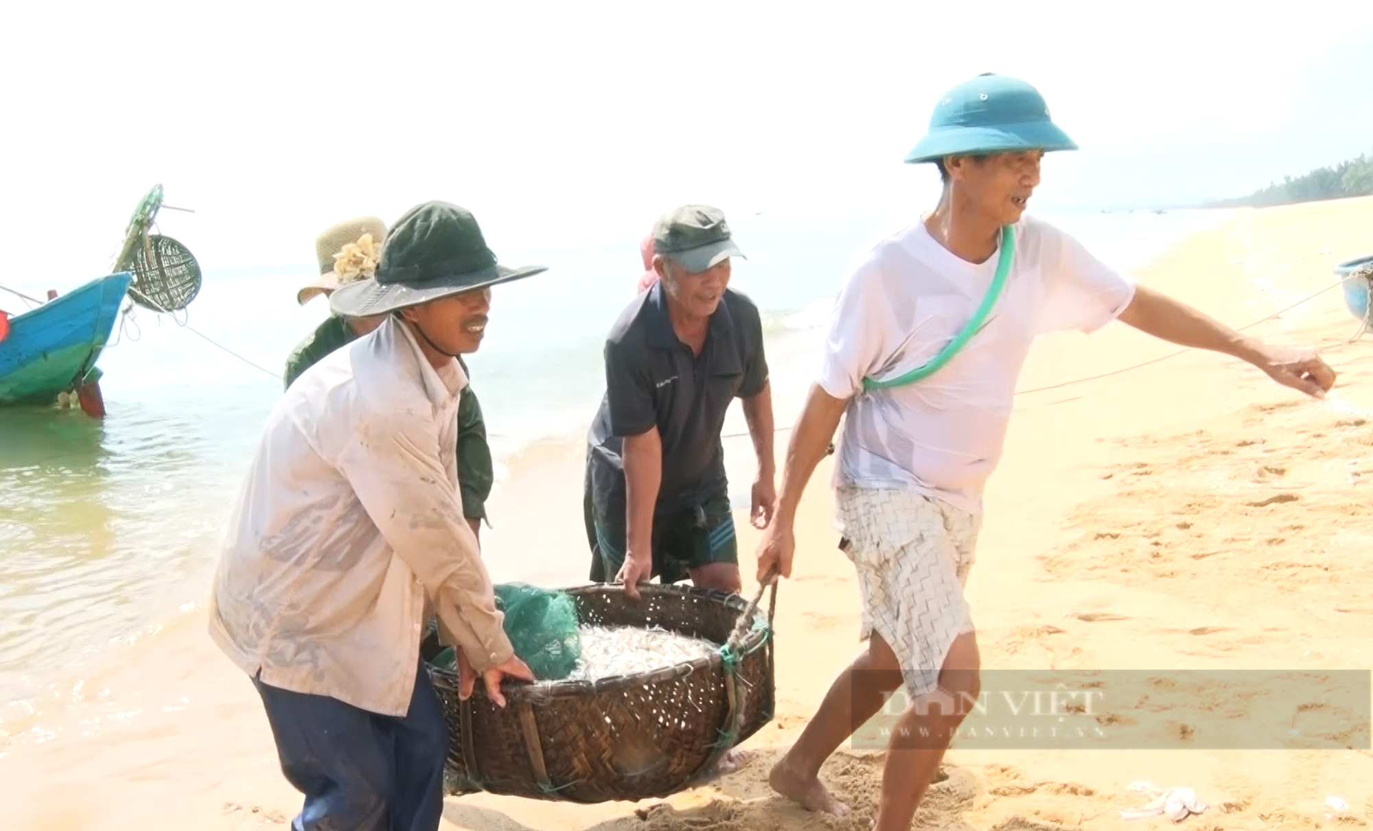 Trúng đậm cá cơm, ngư dân Quảng Bình ra khơi cả ngày lẫn đêm thu về tiền triệu - Ảnh 3.