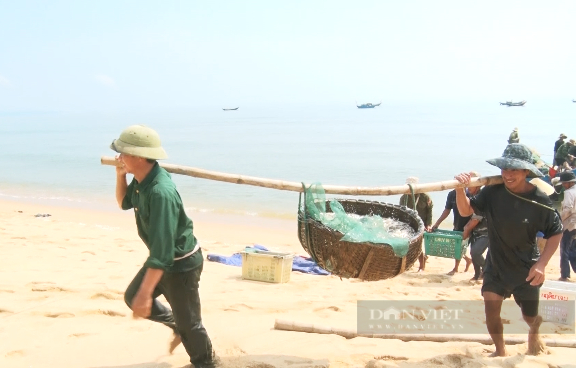 Trúng đậm cá cơm, ngư dân Quảng Bình ra khơi cả ngày lẫn đêm thu về tiền triệu - Ảnh 4.