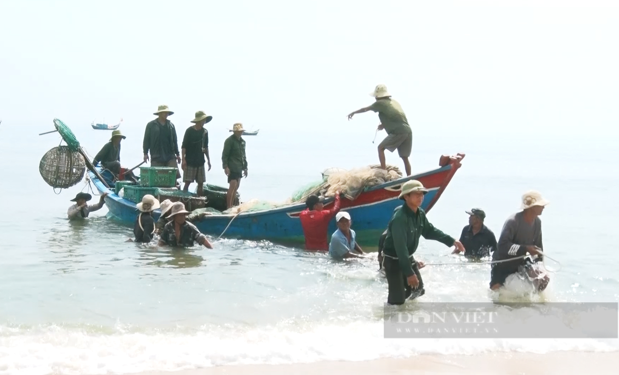 Trúng đậm cá cơm, ngư dân Quảng Bình ra khơi cả ngày lẫn đêm thu về tiền triệu - Ảnh 2.