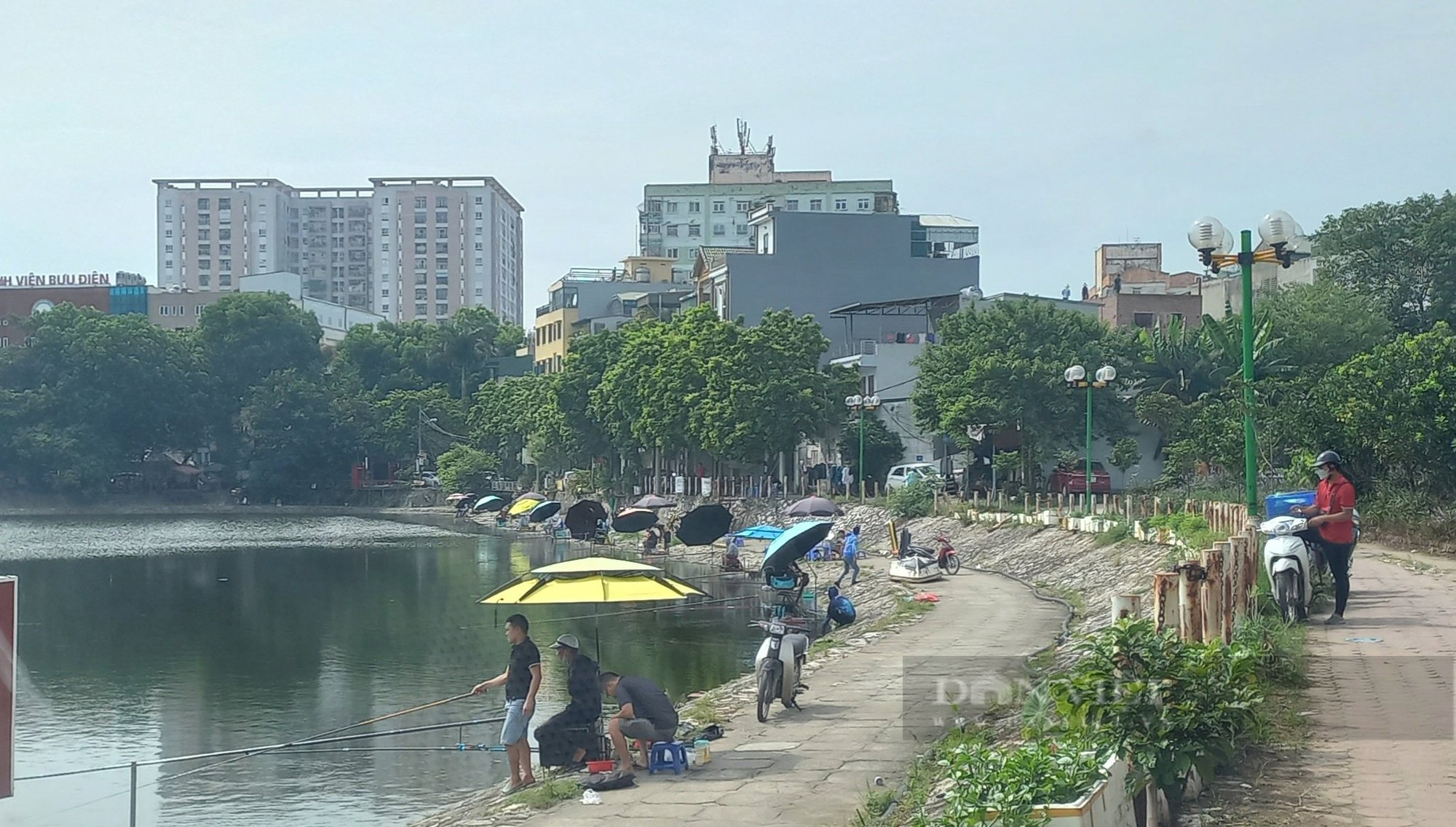 Câu cá có thưởng trái phép ở hồ công ích: Chủ hồ vô trách nhiệm với nhiệm vụ được giao - Ảnh 5.