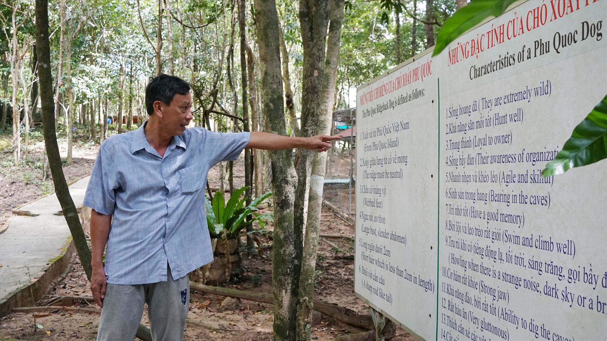 Loài &quot;Quốc khuyển&quot; có xoáy lưng, biết đào hang chỉ có ở Việt Nam - Ảnh 1.