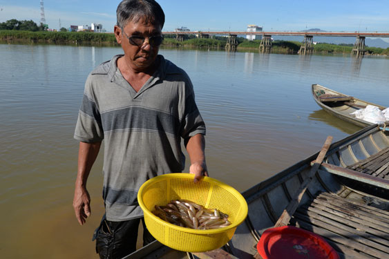 Săn loài cá quý hiếm nhỏ bằng ngón tay, mỗi năm chỉ có duy nhất 1 mùa, xuất hiện nhiều trong thơ ca - Ảnh 2.