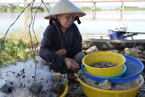 Săn loài cá quý hiếm nhỏ bằng ngón tay, mỗi năm chỉ có duy nhất 1 mùa, xuất hiện nhiều trong thơ ca - Ảnh 3.