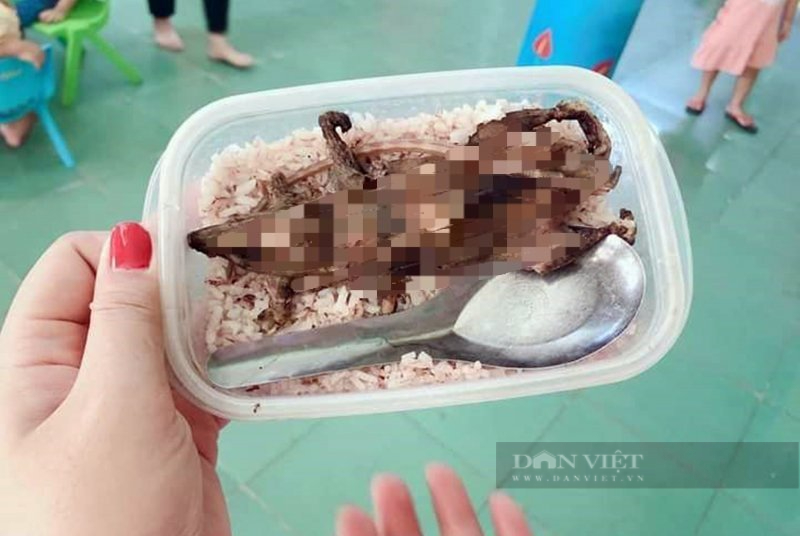 Vụ xôn xao học sinh ăn thịt chuột ở Quảng Nam: Hình ảnh chụp cách 3 năm tại lễ hội ẩm thực truyền thống - Ảnh 2.