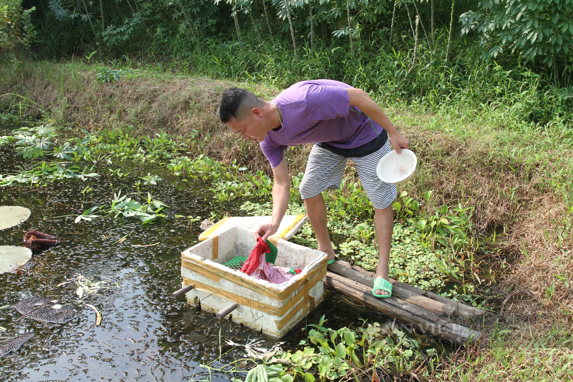 Nhiều sáng kiến kỹ thuật bổ ích tham gia Hội thi sáng tạo kỹ thuật Hội nông dân tỉnh Thái Nguyên - Ảnh 2.