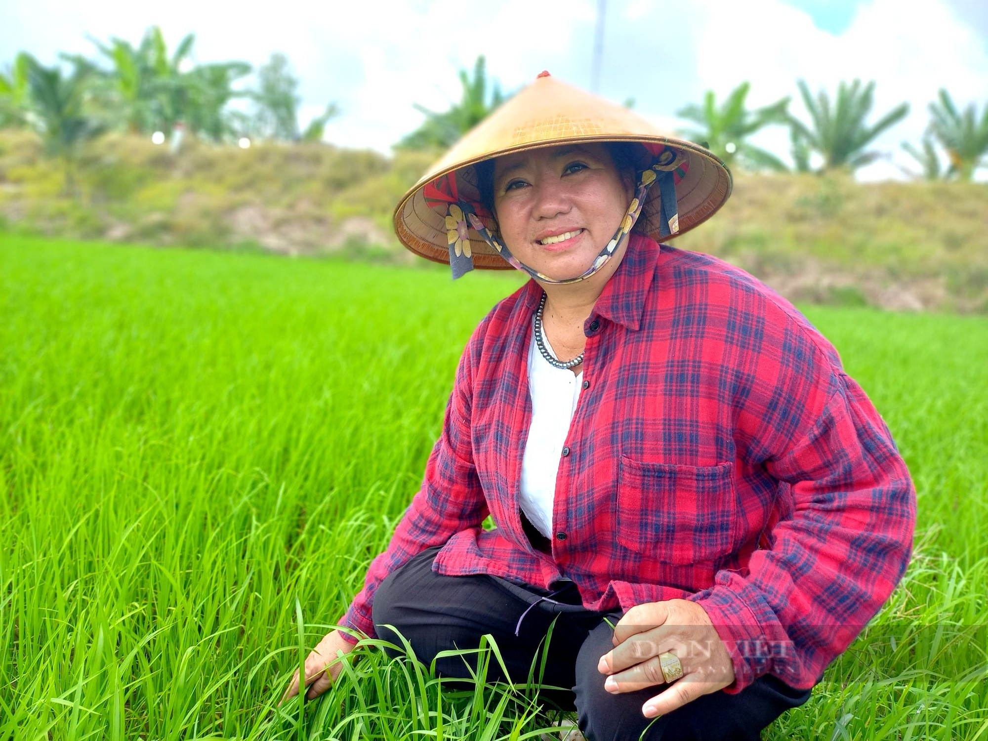 Nữ nông dân vùng biên cơ giới hóa trồng lúa bạt ngàn là Nông dân Việt Nam xuất sắc 2022 - Ảnh 1.