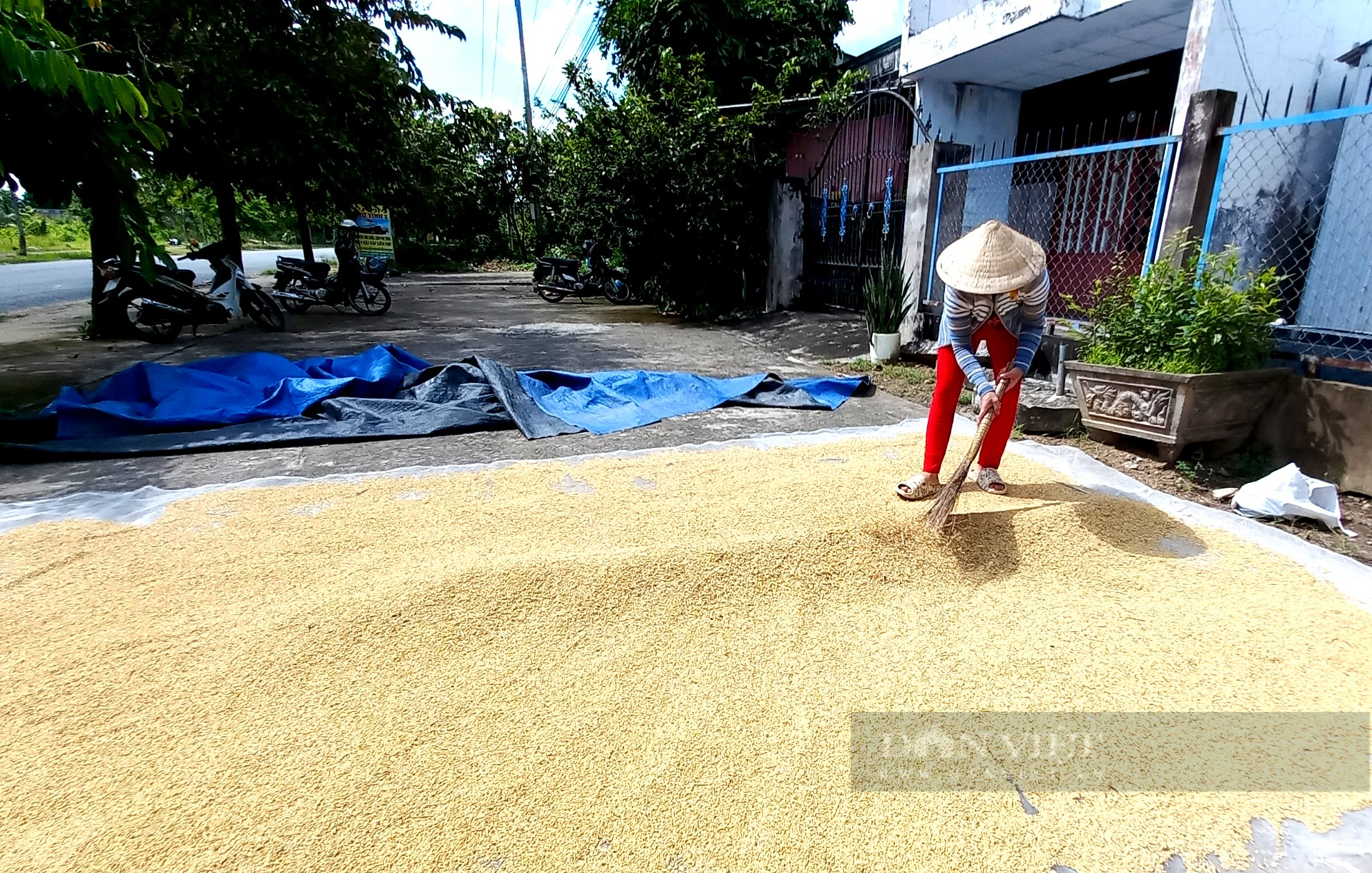 Nữ nông dân vùng biên cơ giới hóa trồng lúa bạt ngàn là Nông dân Việt Nam xuất sắc 2022 - Ảnh 6.