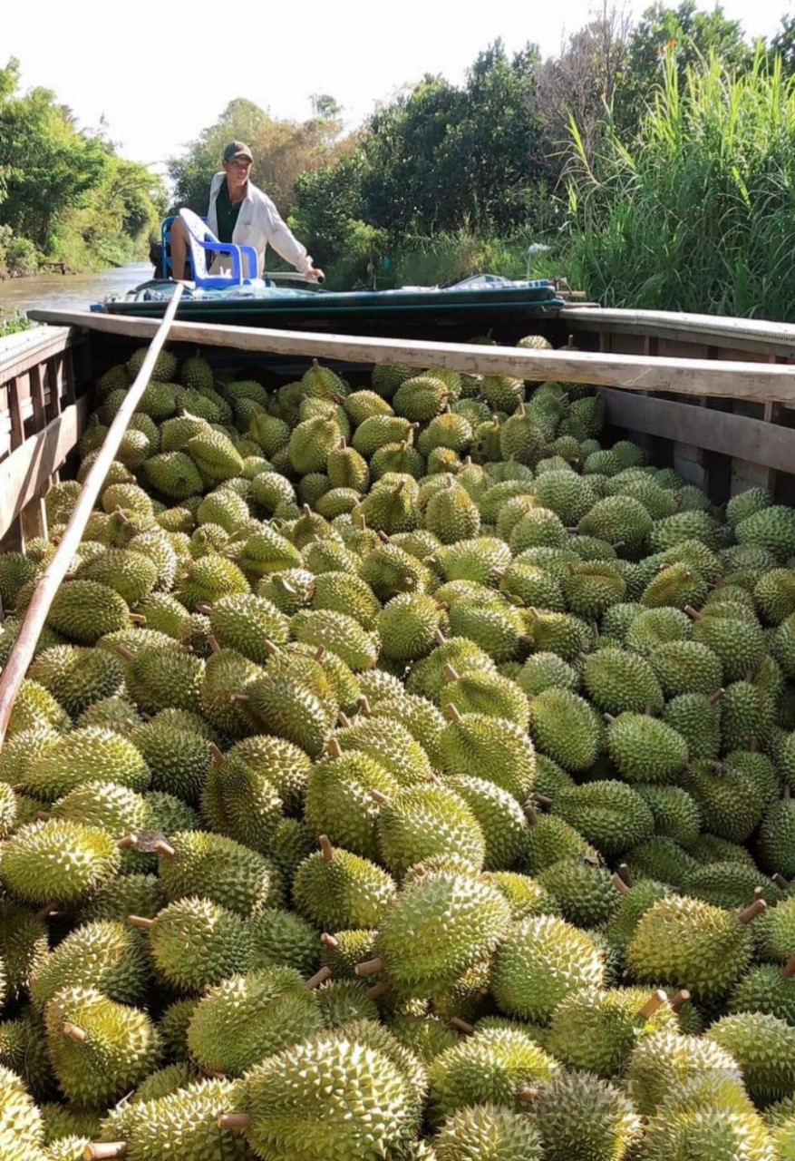 Trồng sầu riêng, mít thái thu tiền tỷ, lão nông ở Hậu Giang được bình chọn là Nông dân Việt Nam xuất sắc năm 2022 - Ảnh 5.