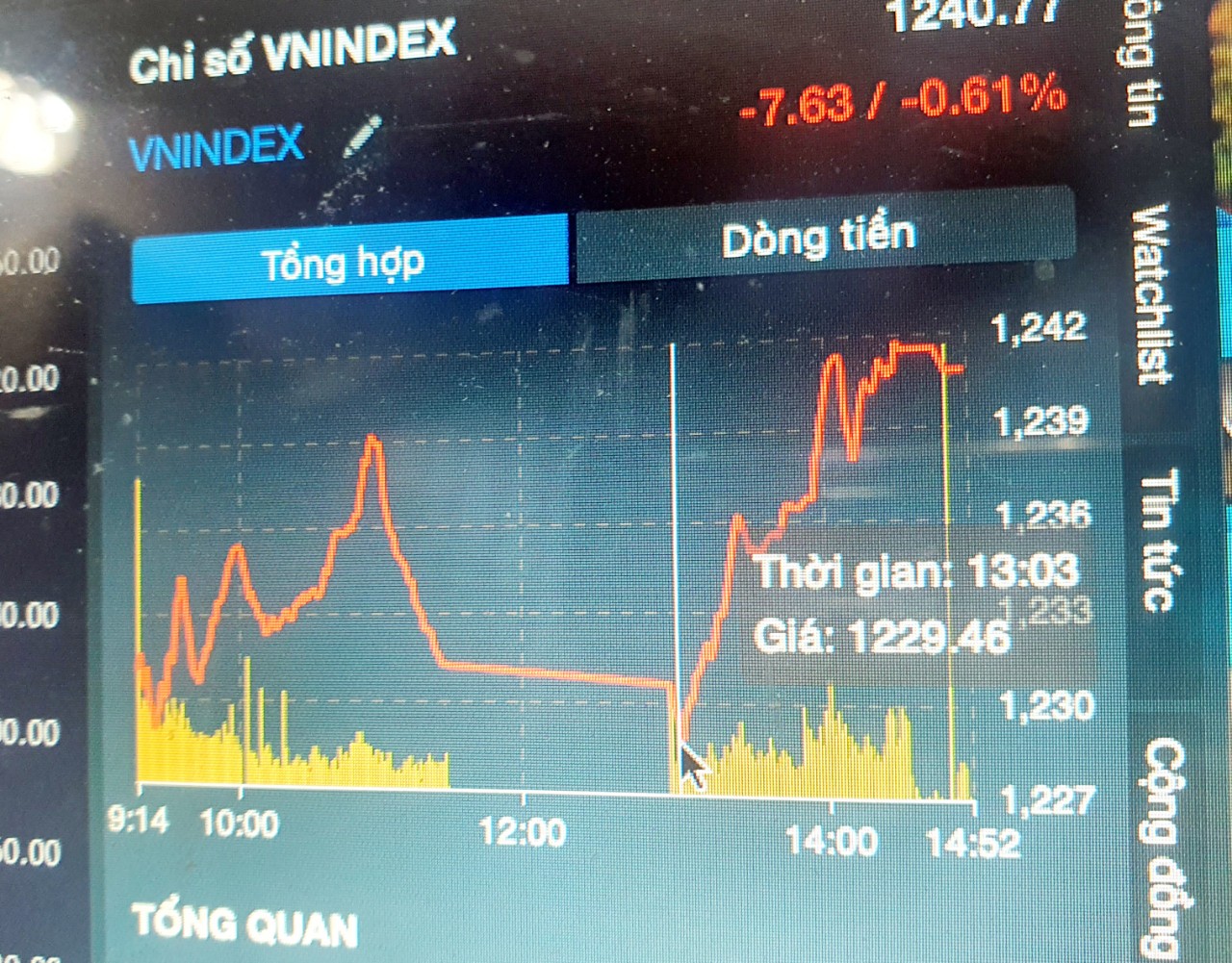 VN-Index biến động như tàu lượn, nhà đầu tư không tin nổi mắt mình! - Ảnh 1.