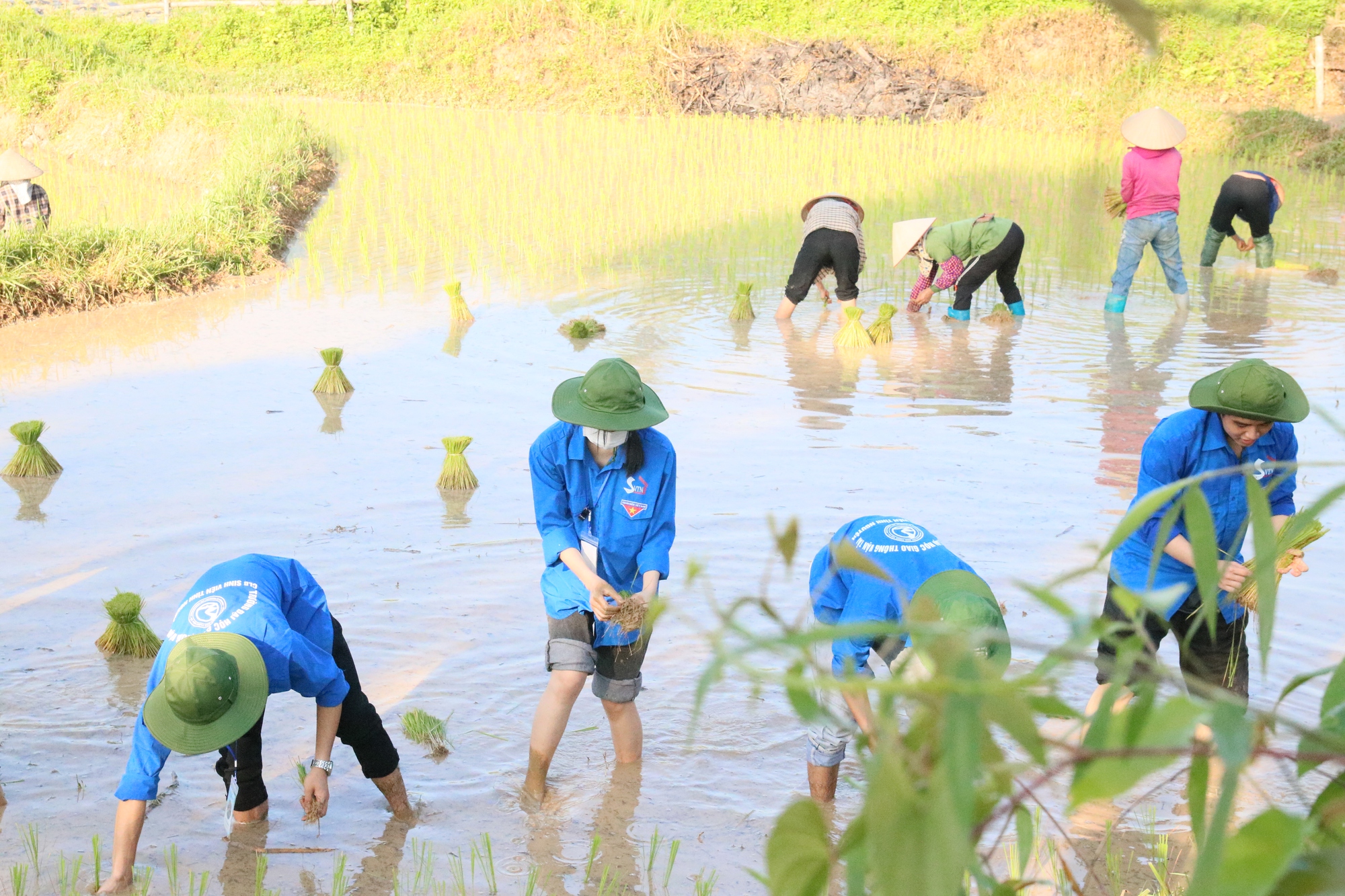 “Mùa hè xanh”- Mùa trao gửi những tấm lòng - Ảnh 6.