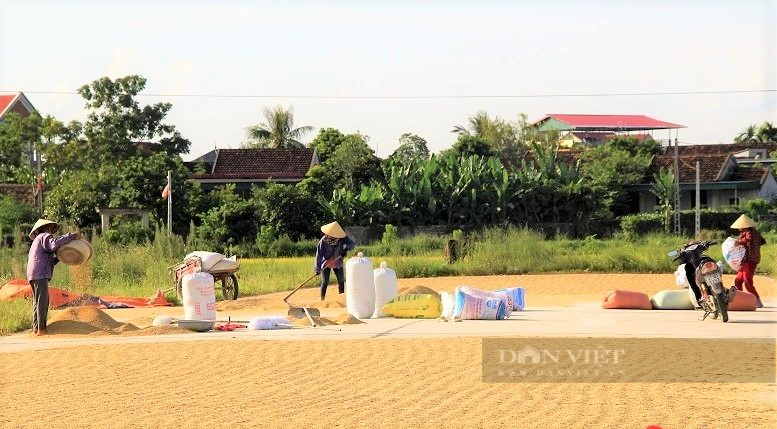 Mùa trục lúa, tiếng kêu cút kít, tiếng cười nói râm ran đưa ta trở về miền ký ức - Ảnh 1.