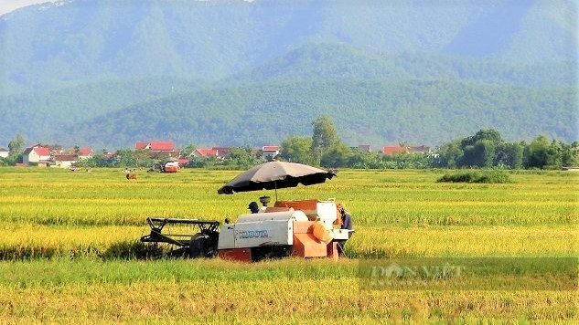 Mùa trục lúa, tiếng kêu cút kít, tiếng cười nói râm ran đưa ta trở về miền ký ức - Ảnh 6.