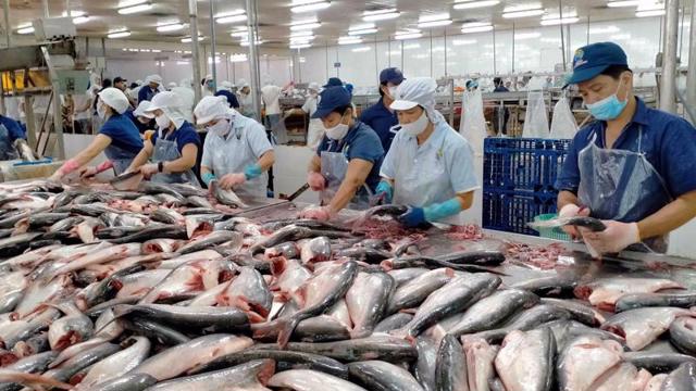 Mỹ giữ nguyên thuế chống bán phá giá cá tra, basa nhập từ Việt Nam - Ảnh 1.