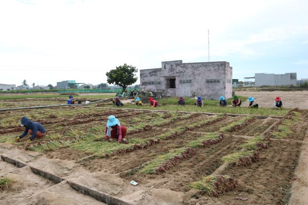 Phát huy hơn nữa các công trình thủy lợi phục vụ sản xuất các tỉnh Duyên hải miền trung và Tây nguyên  - Ảnh 3.