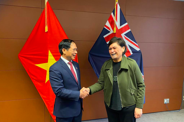 Đề nghị New Zealand mở cửa cho chanh tươi, bưởi và nhãn Việt Nam - Ảnh 1.