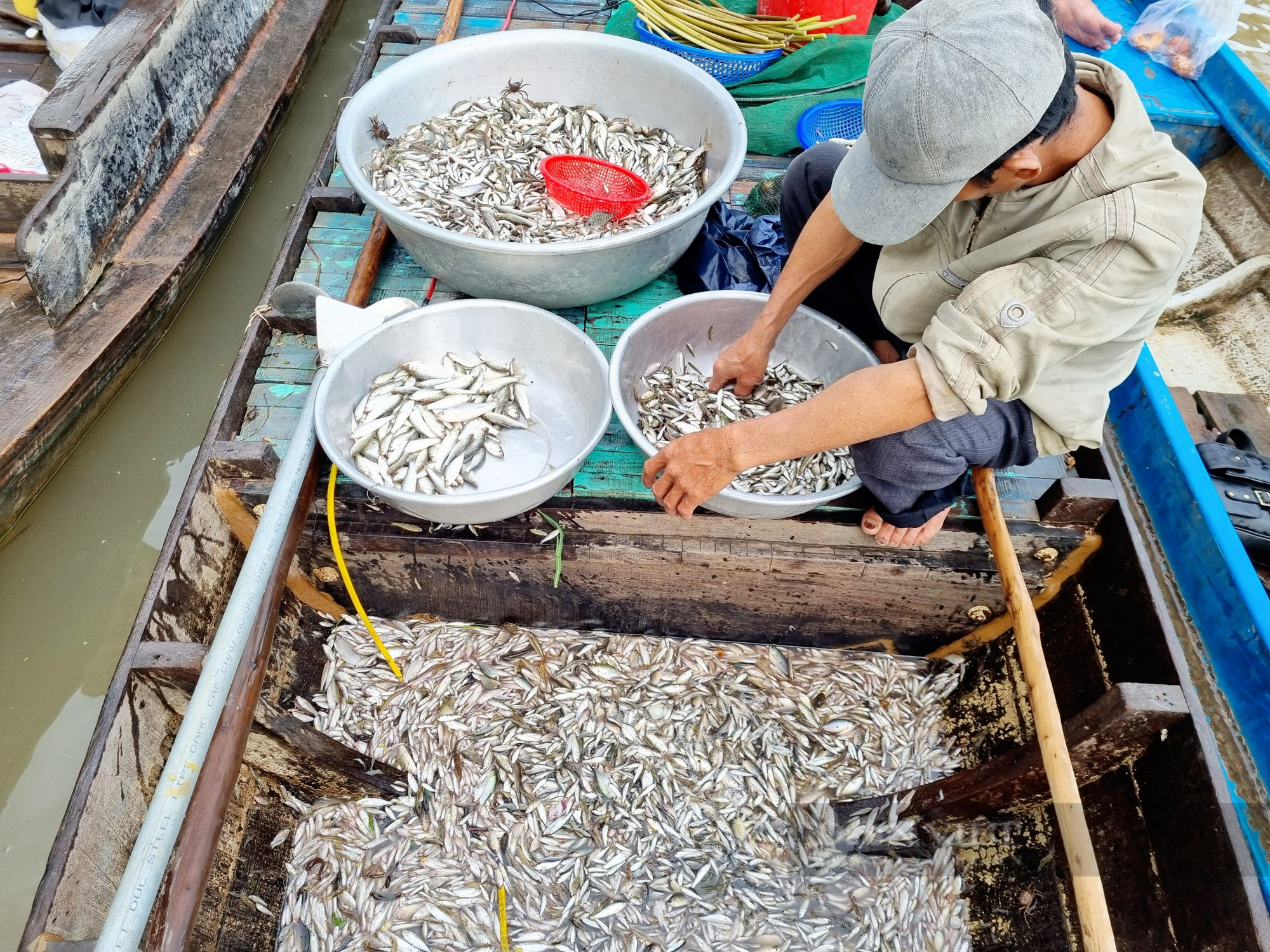 Phóng sự ảnh: Nhộn nhịp chợ giữa đồng vào mùa nước nổi nơi đầu nguồn biên giới An Giang - Ảnh 12.