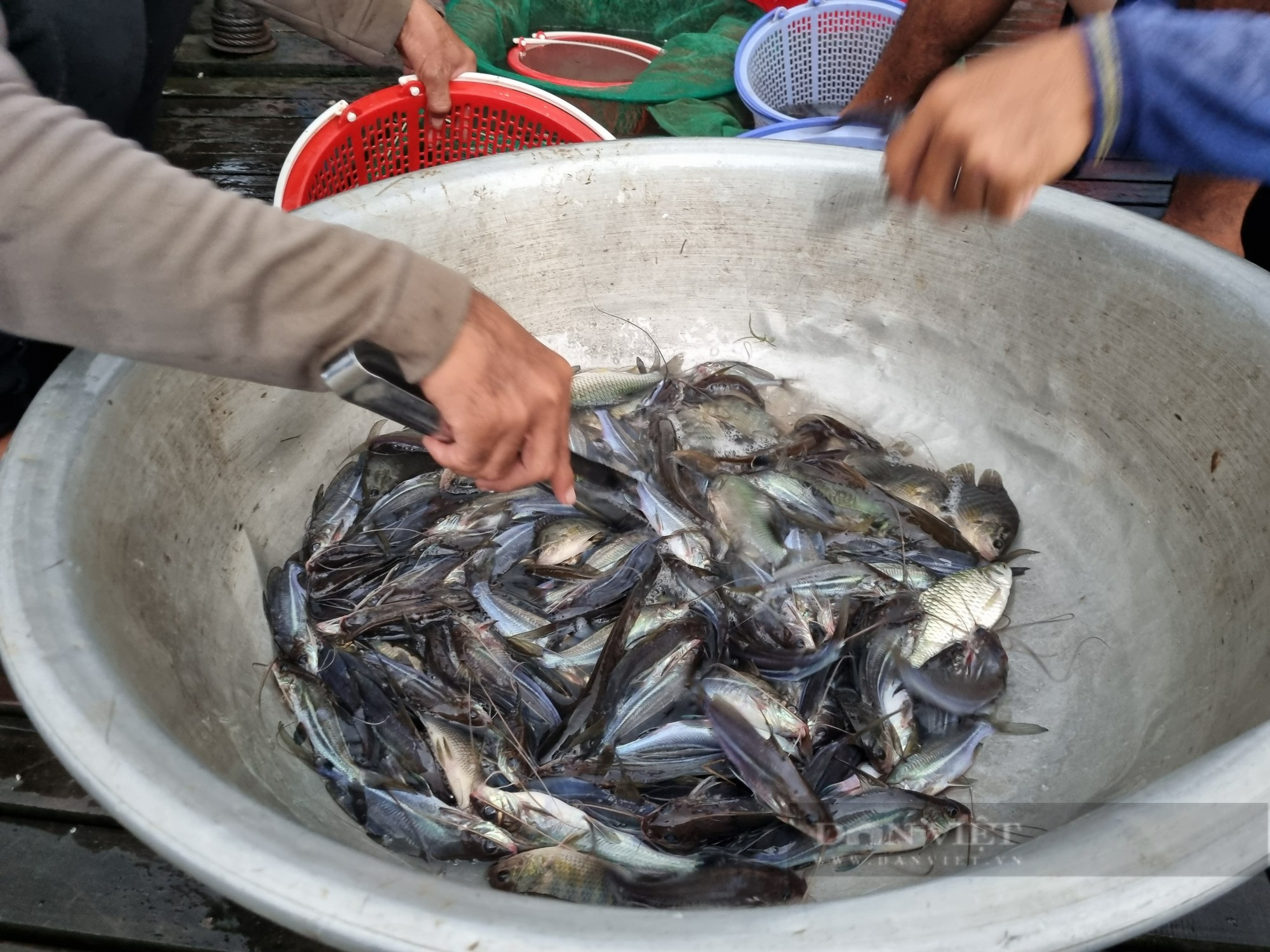 Phóng sự ảnh: Nhộn nhịp chợ giữa đồng vào mùa nước nổi nơi đầu nguồn biên giới An Giang - Ảnh 15.