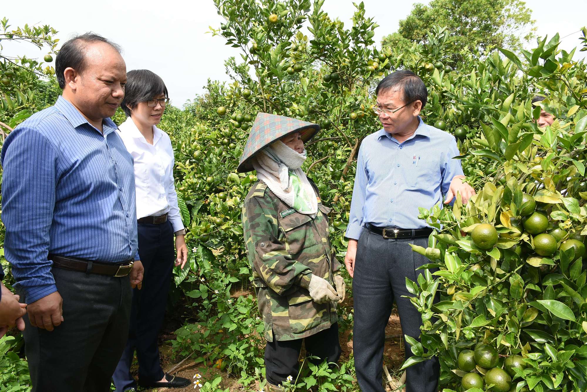 &quot;Vườn thập cẩm, trồng lung tung&quot; ở Kon Tum, cây nào cũng ra trái quá trời, bán giá cao vào siêu thị? - Ảnh 2.