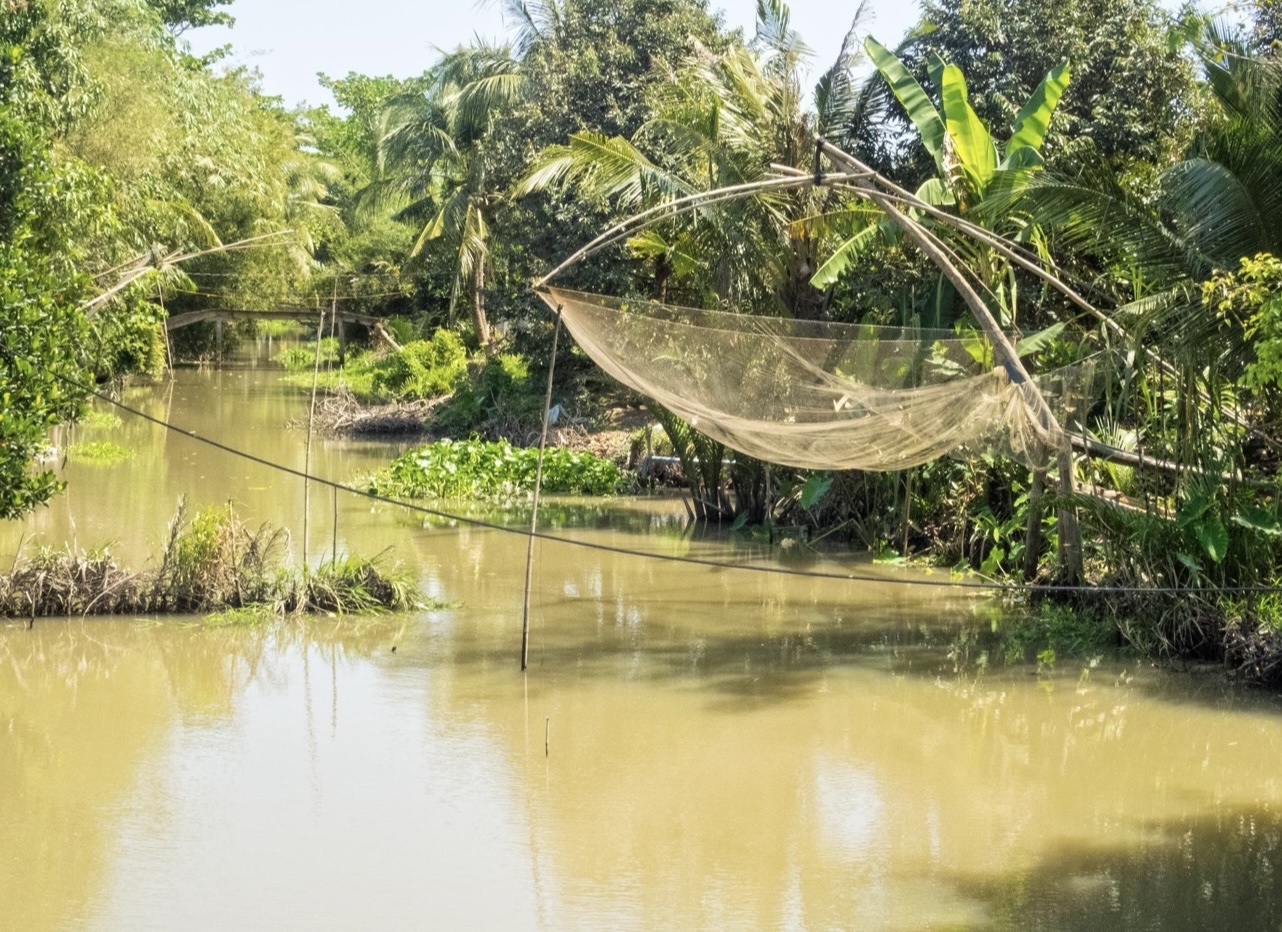 Mùa nước nổi nơi này cũng cá linh, hẹ nước, bông điên điển, lại còn có loài cá bống cực ngon - Ảnh 3.