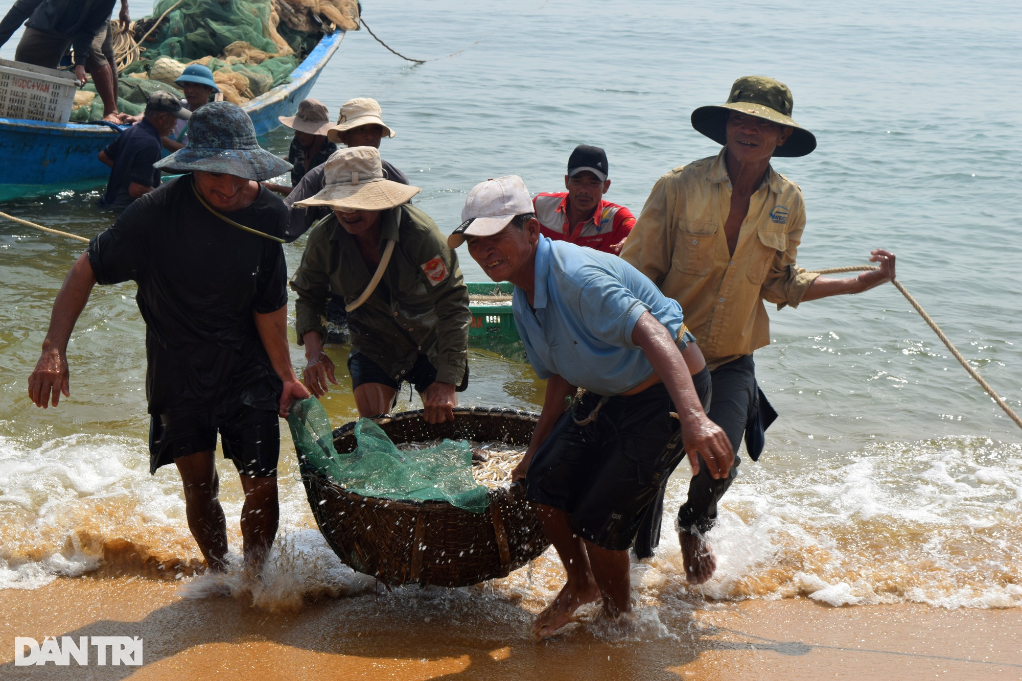 Quảng Bình: Loài cá gần bằng ngón tay giúp ngư dân thu nhập chục triệu mỗi ngày - Ảnh 1.